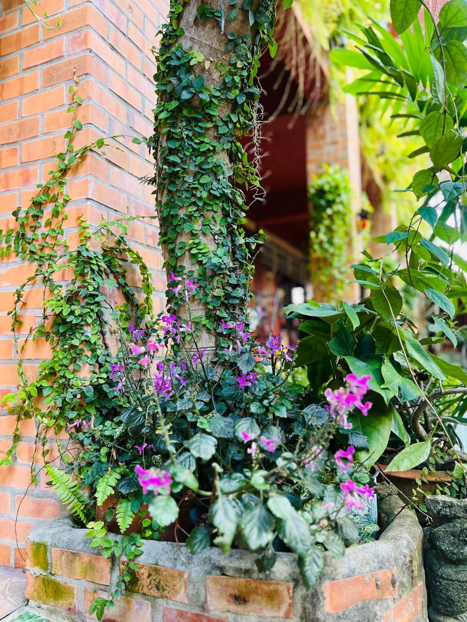 Boutique House Nipha Apartment Chiang Mai Exterior foto